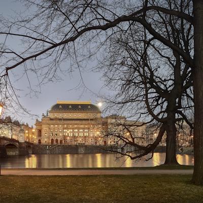 RoseAlba 